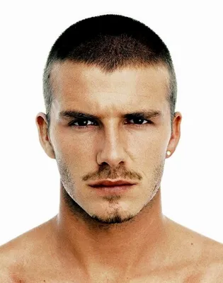 Nice Brushed Up Haircut for Short Hair | Brown hair men, Haircuts for men,  Oval face haircuts