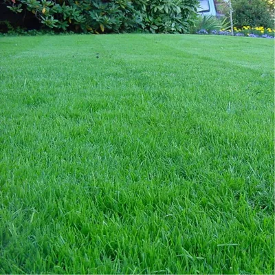 Купить спортивный газон от производителя, устройство травы для спорта по  низкой цене от Bio Gazon