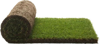 Спортивный газон Premium Grass — Deco Sport 40, цена 810 руб. |  интернет-магазин GreenVeld в Краснодаре