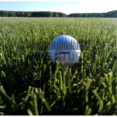 Рулонный газон для гольфа: купить спортивный газон в Москве