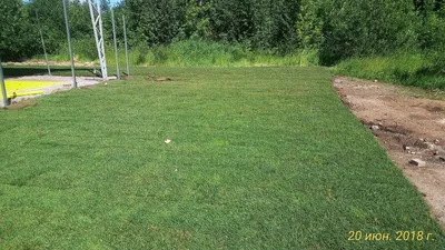 Спортивный газон искусственный для площадок - купить в ландшафтной  мастерской «Сад фантазий»