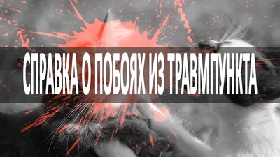 Купить справку в школу после болезни без врачей в Спб