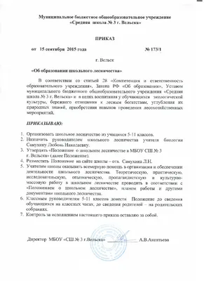 Справка об обучении в дневнике