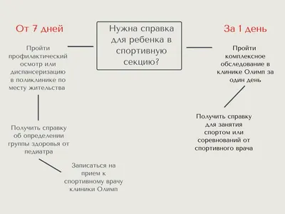 Справка школьника с фото для соревнований фотографии