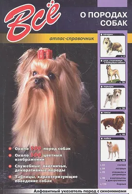 Справочник пород собак с фото фотографии