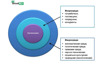 INSTASAMKA – Среда (Wednesday) Lyrics | Genius Lyrics