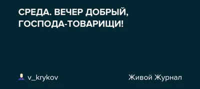 Бизнес Среда | Sobaka.ru