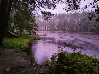 Красивые открытки с надписями \"Добрый вечер\" (45 фото)