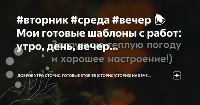 В Туве впервые проведут Вечер бокса в поддержку охраны окружающей среды |  17.03.2023 | Кызыл - БезФормата