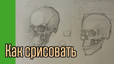 Как научиться срисовывать - YouTube