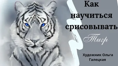 Как срисовать рисунок с монитора компьютера на бумагу