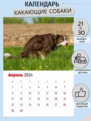 Бесплатный STL файл Не какающая собака 🐾・3D-печатный объект для  загрузки・Cults