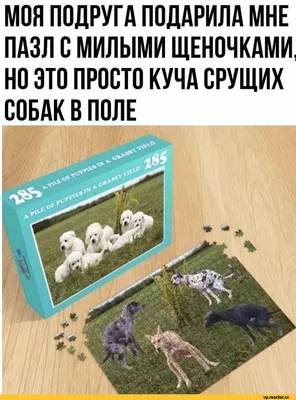 Gazo Art - Керамическая Статуэтка “Какающая Собачка”... | Facebook