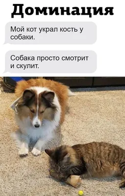 Календарь надо? - ЯПлакалъ