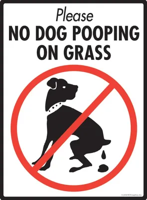 dog poop - Создать мем - Meme-arsenal.com