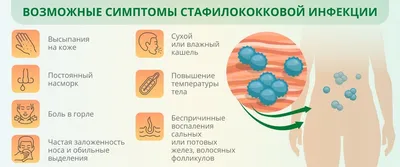 Анализы на стафилококк: когда нужно сдавать, как подготовиться, сроки  проведения и стоимость