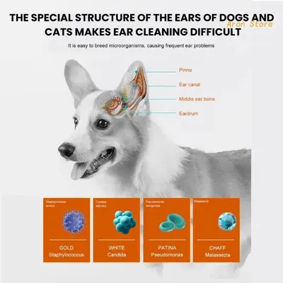 Нептра ® капли ушные для собак упаковка 2 пипетки, по 1 мл купить по низкой  цене с доставкой - БиоСтайл