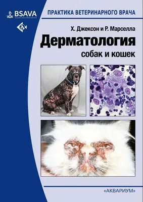 Полисепт Средство от запаха мочи, меток - концентрат на 11л