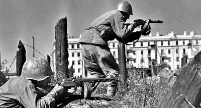Сталинградская битва - одна из величайших битв в истории человечества! -  Официальный сайт КГБПОУ ЧГТТ