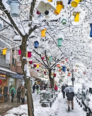 Зимний Стамбул — Фото №351258