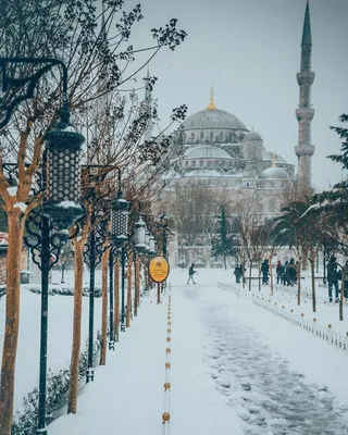 Стамбул зимой: что делать, куда сходить. | Travel Guide