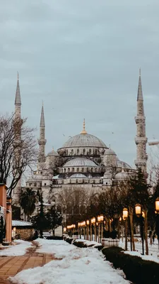 Куда поехать зимой. Загадочный Стамбул: турецкий завтрак, разноцветный  Балат и исторические хаммамы | Posta Middle East