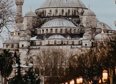 Anex объявил о чартерной полетной программе в Стамбул на зимний сезон |  Ассоциация Туроператоров