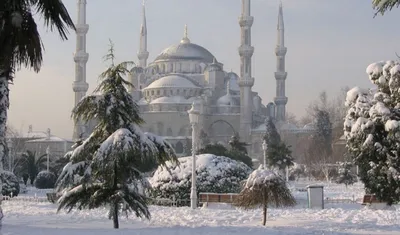 Travel Turka - Стамбул зимой не менее интересен,... | Facebook