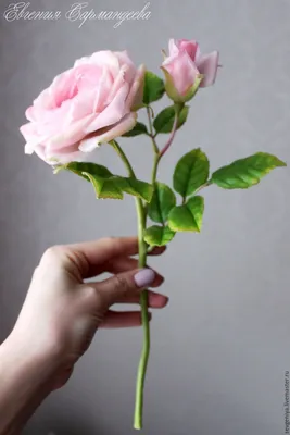 Староанглийская роза из холодного фарфора - купить или заказать в  интернет-магазине на Ярмарке Мастеров | Пионовидная (староанглийская) роза.  | Розы, Цветок, Цветы