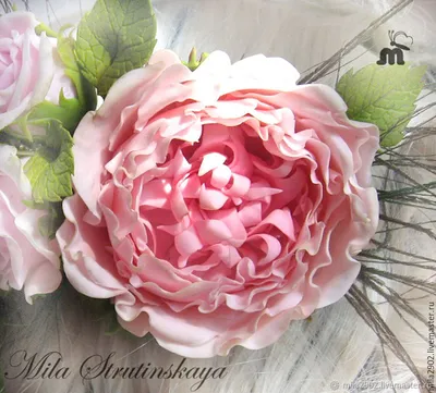 Староанглийская роза (пионовидная роза) из холодного фарфора в  интернет-магазине Ярмарка Мастеров по цене 3750 ₽ – 563I9RU | Украшения для  причесок, Санкт-Петербург - доставка по России