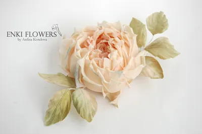 Купить букеты из пионовидных роз 🌸 с доставкой по Москве| Centre-Flower