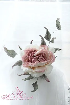 Роза Староанглийская микс h30 по цене 4555 ₽/шт. купить в Москве в  интернет-магазине Леруа Мерлен