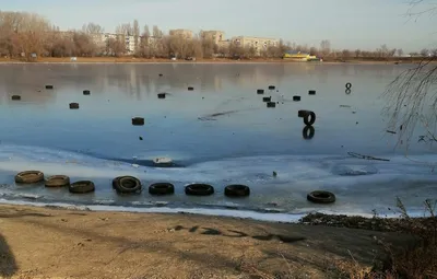 Загаживают территории, набрасываются на людей». Общественники в Балаково  раскритиковали дорожников, юных вандалов, вредоносную похабщину и старые  тополя с вороньём | 21.04.2022 | Балаково - БезФормата