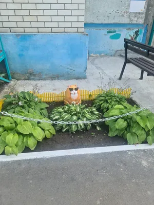 Глава города Балаково Леонид Родионов и депутаты Совета проверили  готовность МБСПУ «Комбинат благоустройства» к осенне-зимнему периоду –  Муниципальное образование город Балаково