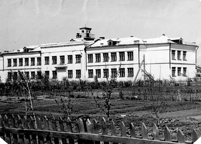 История цирка - официальный сайт