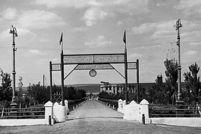 Луганск, КТМ-1 № 158; Луганск, КТП-1 № 263; Луганск — Старые фотографии —  Фото — Городской электротранспорт