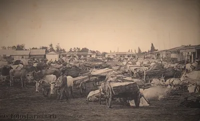 Майкоп - Фотостарина. Старые фотографии России.