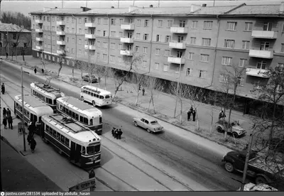 Открытый центральноазиатский фотоархив. Архив Ирины Богословской. Фонд  \"Альбом открыток 'Виды Самарканда' \".