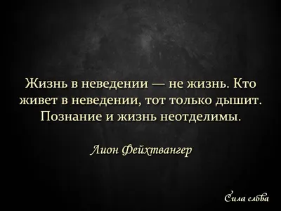 На все времена: 100 вдохновляющих цитат | Forbes Life