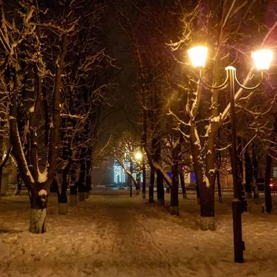 В ставропольском парке Победы появился громадный кубик Рубика | 28.12.2018  | Ставрополь - БезФормата