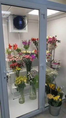 Подставка для цветов на 4 полки \"Стеллаж-9\": продажа, цена в Днепре.  Подставки и опоры для растений от \"Интернет-магазин ExoticFlowers\" -  1127434552