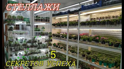 Полки для цветов своими руками | Новости | FURNISET - Фурнитура и материалы  для производства мебели