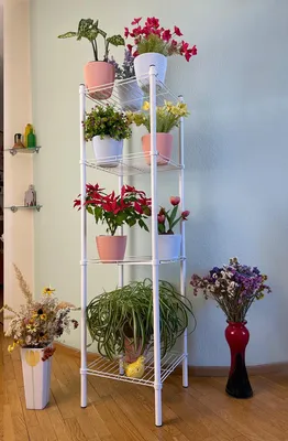 Каталог товаров для сада | naidy-garden.ru