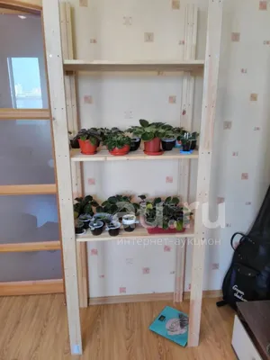 Стеллаж для цветов с цветами 15000сом: 15000 KGS ➤ Фиалки | Кок-Ой |  101729360 ᐈ lalafo.kg