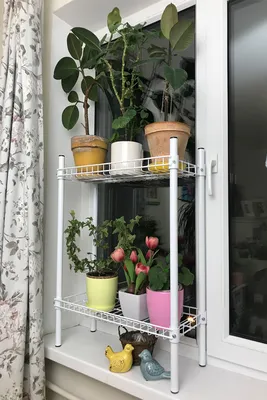 Стеллаж для цветов Mobhaus Nepel Typ 2 (Bamboo)