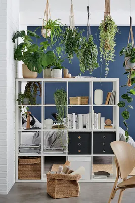 Стеллаж икея Каллакс - «Быстро и красиво прячем хлам, зонируем комнату,  украшаем интерьер! Многофункциональный стеллаж от IKEA» | отзывы