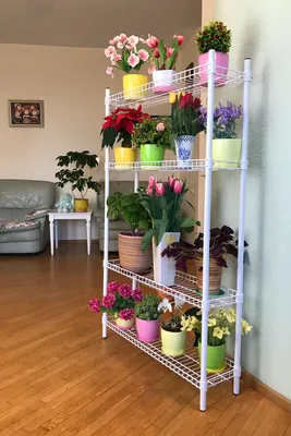 Стеллажи для цветов и рассады | Интернет магазин подставок для цветов и  украшений