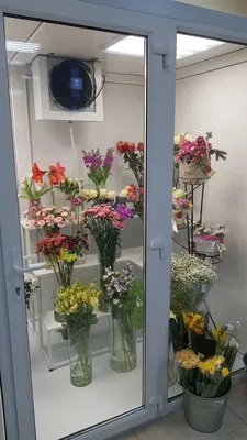 Стеллажи для цветов – купить за 7 000 ₽ | Торговое - холодильное  оборудование Фриз-Холод, Кондиционеры, ремонт холодильников в Казани