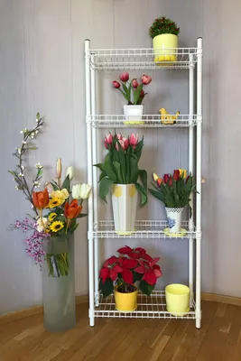 Стеллажи для цветов и рассады | Интернет магазин подставок для цветов и  украшений