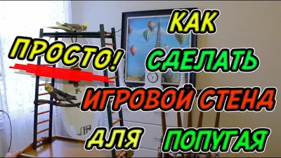 СТЕНД ДЛЯ ПОПУГАЯ//Как сделать стенд для попугая своими руками//Уход за  попугаем | С вами НАЕДИНЕ | Дзен